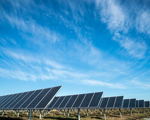 green renewable energy domain name